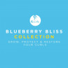 Curls Blueberry Bliss Reparative Hair Wash 236ml. 8oz.
