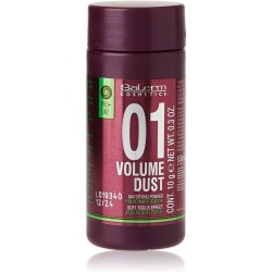 SALERM 01 VOLUME DUST 10gr. PROLINE