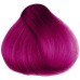 HERMAN'S CYNTHIA CYCLAMEN AMAZING DIRECT HAIR COLOR 115ML.